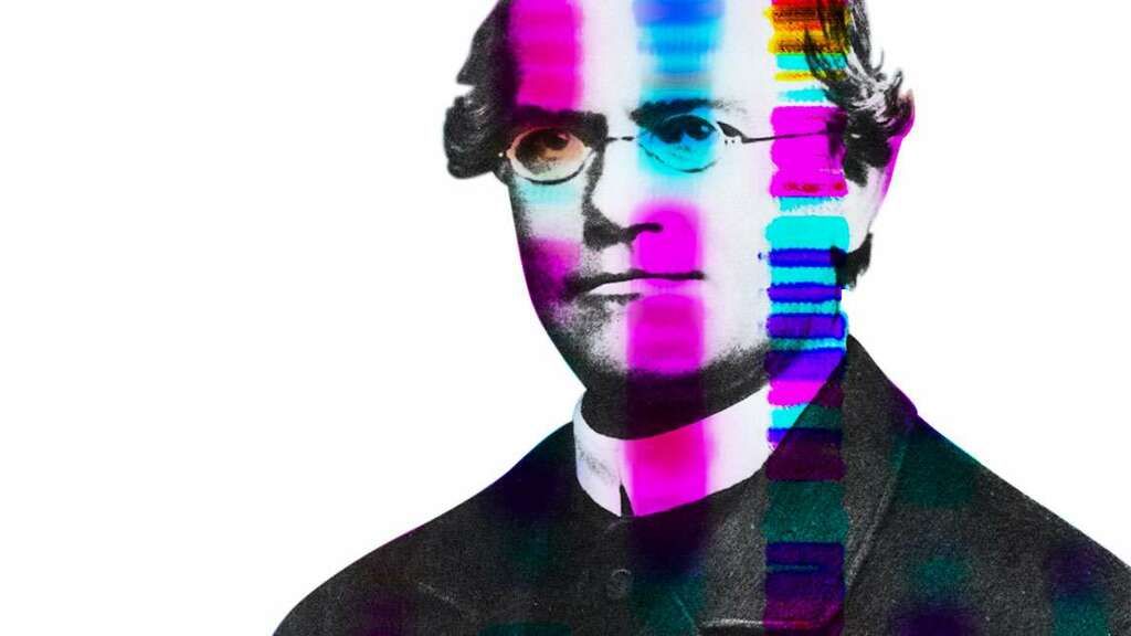 Gregor Mendel The Father Of Genetics And A Tax