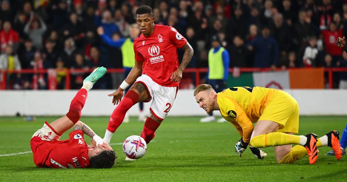 Neco Williams Injury Latest As Brighton Boss Makes