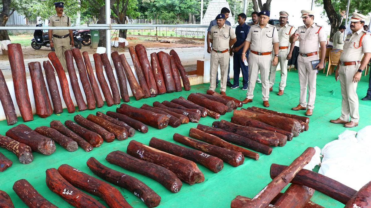 Red Sanders Smuggler Held Logs Seized In Tirupati