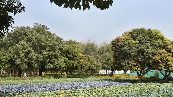MP begins probe into alleged multi-crore rupee scam in govt scheme for farmers