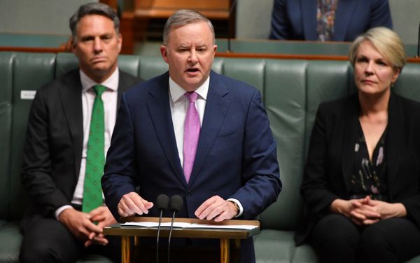 Albanese’s Budget reply meets with mixed reaction from economists