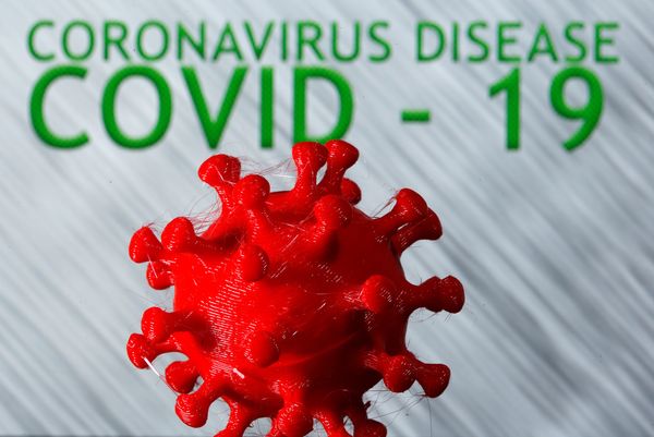 World caught in "syndemic" of chronic diseases and COVID-19, global study says