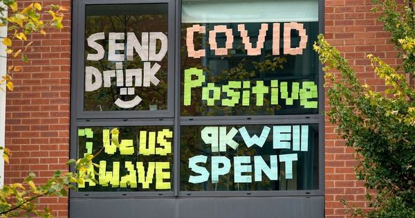 Covid-19 rates in worst-hit student areas 'halved' as young 'follow rules again'