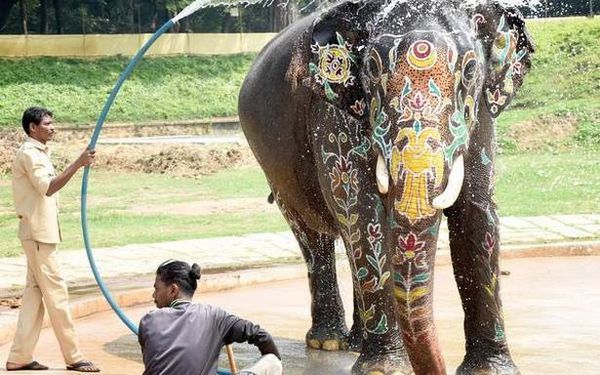Details of Dasara expenditure will be released by November 1: Minister