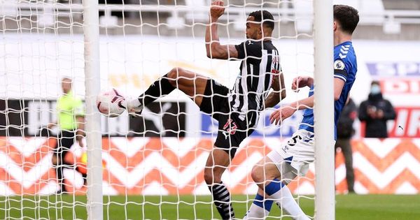 Newcastle 2-1 Everton match report: Callum Wilson double seals fine win