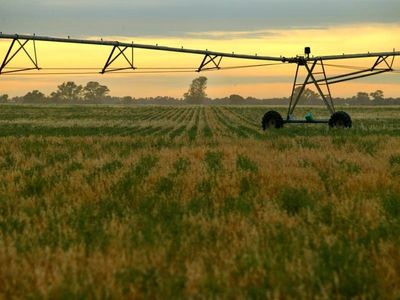 South Aust farmers free to grow GM crops