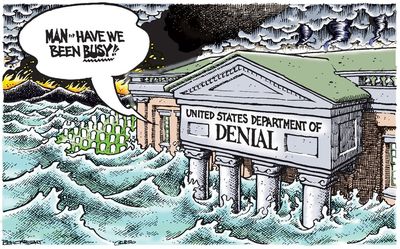 Loon Star: The U.S. Department of Denial