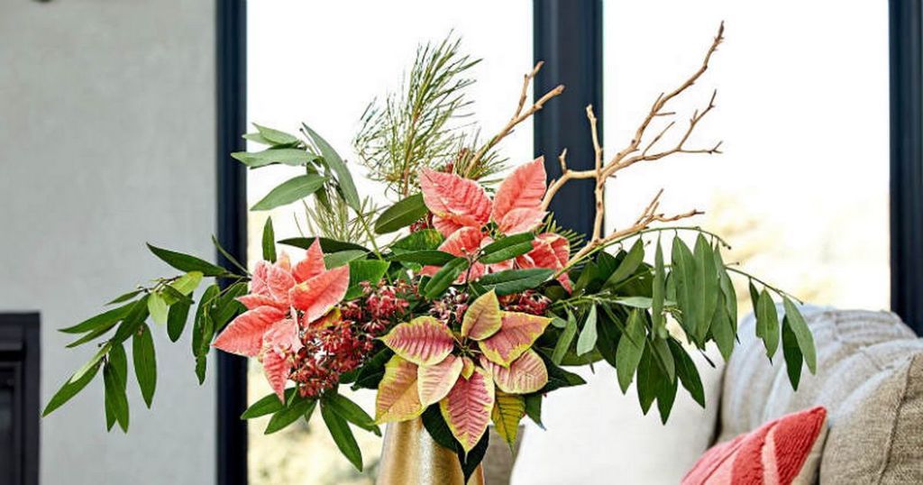 Best Christmas flower bouquets and plants to send to…