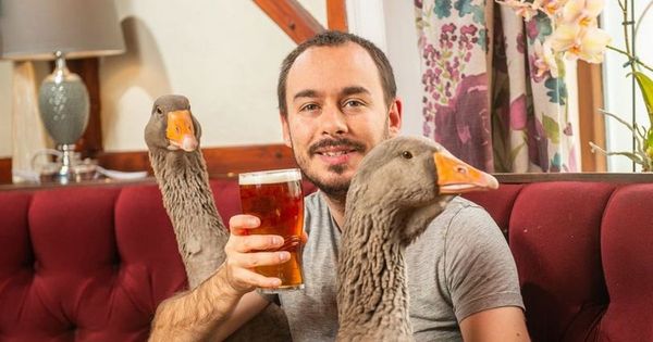 Leeds man who was told to give up nappy-wearing geese warned of Christmas dinner bird thieves