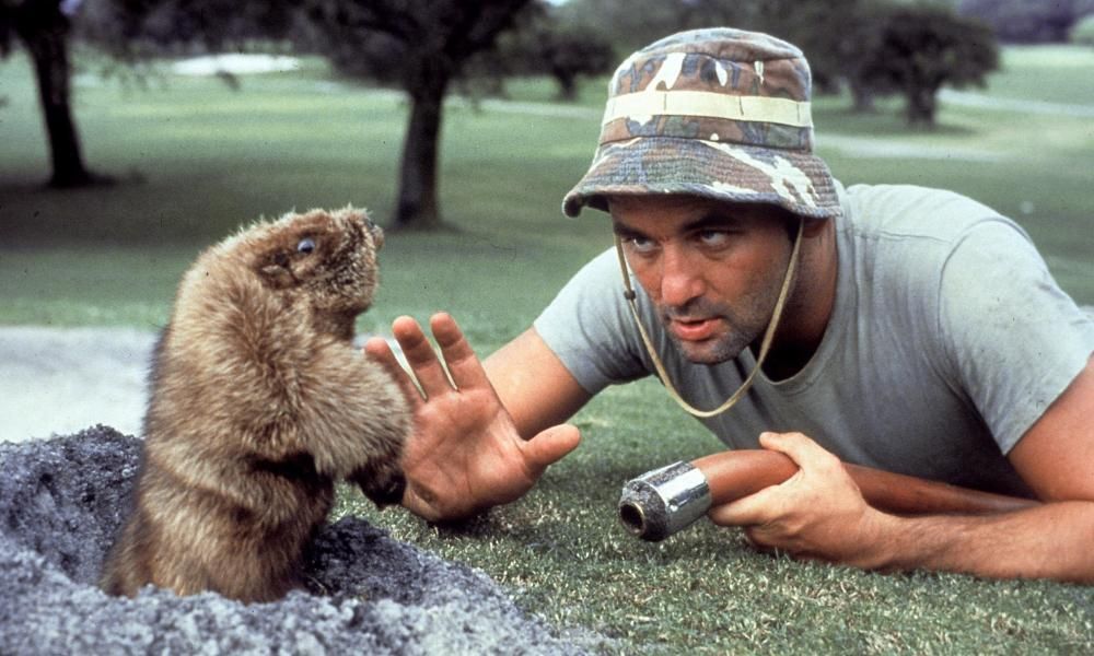 Bill Murray’s brother Ed, who inspired Caddyshack, dies