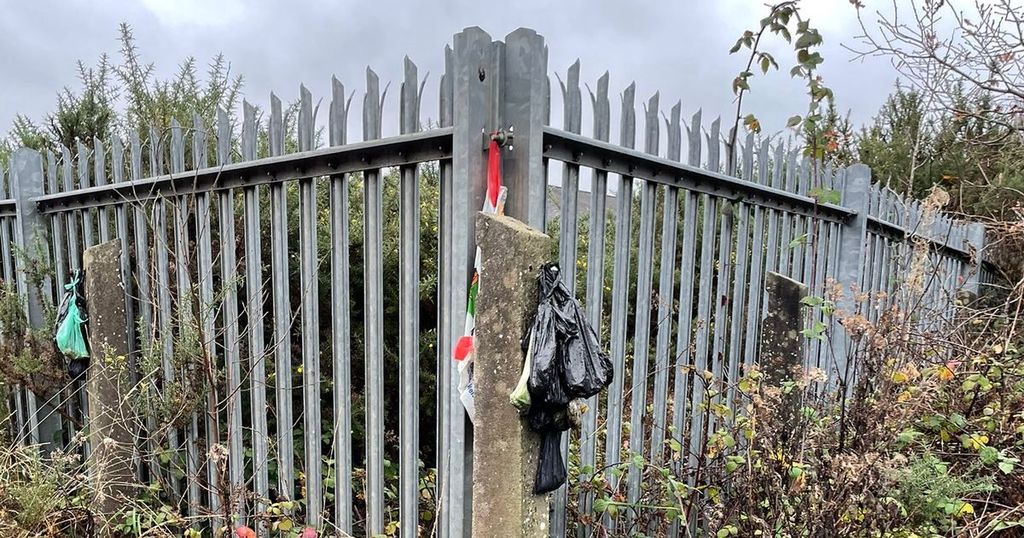 Disgusting trail of dirty nappies, poo bags and empty…