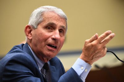 Take the vaccine even if you've already had coronavirus, Fauci says