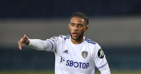 Cardiff City's transfer stance on Leeds United striker and Sheffield Wednesday target Tyler Roberts