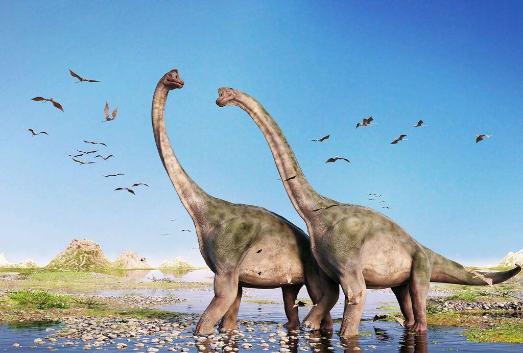 The largest dinosaur ever?