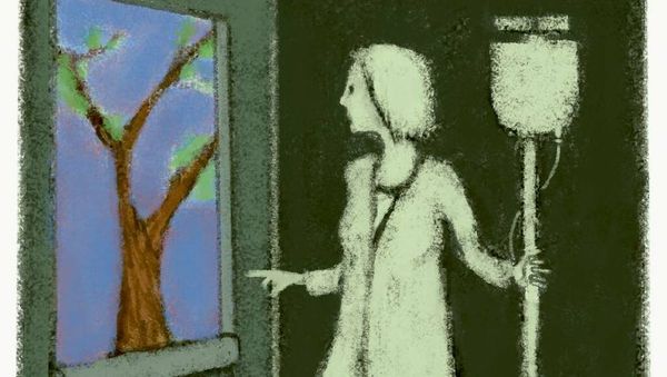 Hunter woman's call for people to sign a petition supporting Alex Greenwich's forthcoming 'euthanasia bill'