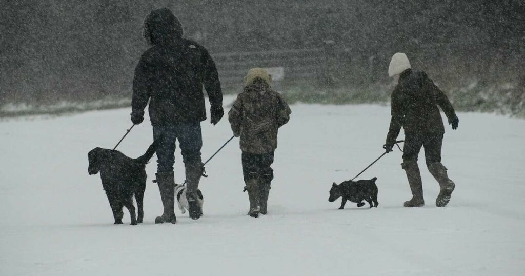 Leeds school closures full list as more than 130 shut…