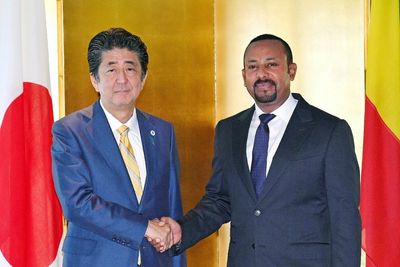 What Ethiopia Can Learn From Japan