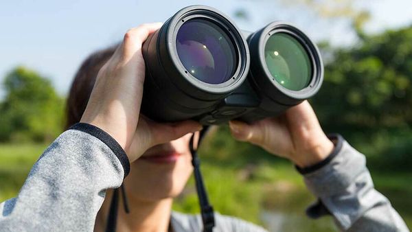 Dow Jones Futures Rise After Market Rally, But Techs Fall As Treasury Yields Rebound; GM, Facebook Lead 11 Stocks To Watch