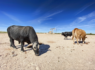 One Researcher’s Quest to Quantify the Environmental Cost of Abandoned Oil Wells