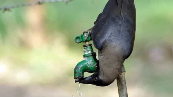 Ladakh's rural households to get tap water connection by 2022