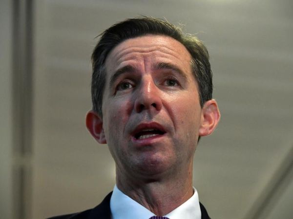 Growing economy will allow debt pay-off