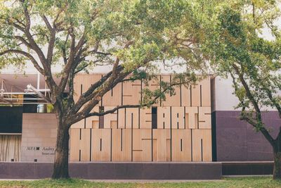 The Museum of Fine Arts Houston’s Botched COVID-19 Precautions