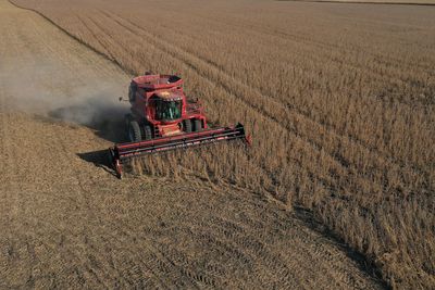 Big Agriculture Is Leading to Ecological Collapse