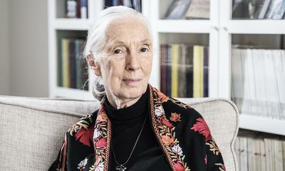 Naturalist Jane Goodall wins 2021 Templeton prize for life’s work