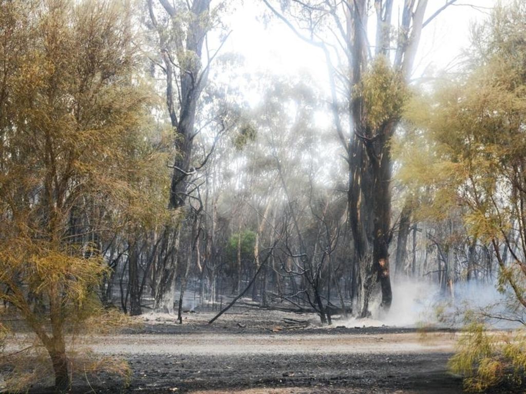 Rare May bushfire risk for South Australia