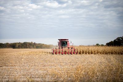 Small Farms, Big Pollution