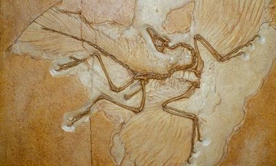 The 10 greatest discoveries of zoology