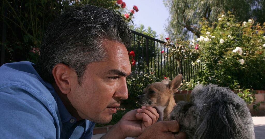 who-is-cesar-millan-and-why-is-he-known-as-the-dog