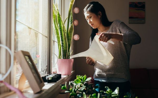 Coronavirus anxiety: How to protect your mental health and wellbeing