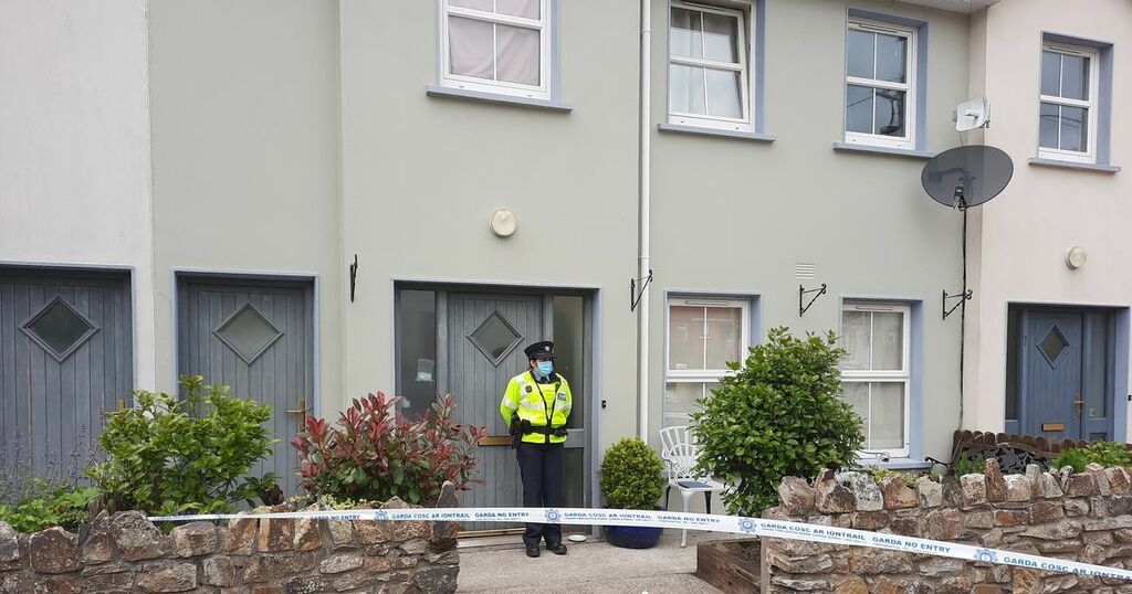 Dog attack Waterford Entire community 'in shock'…