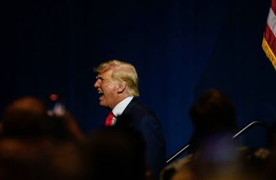 Donald Trump, king of scams, says Bitcoin is a scam