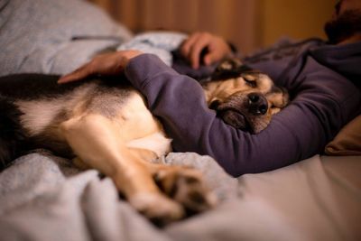 Sleep and depression: Your bedtime could put you at a higher risk