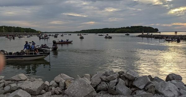 Angler catches 'dumbest bass in lake' to repeat as Classic champ