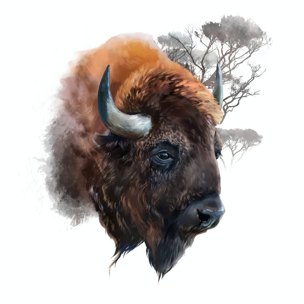 How the noble buffalo could save America from…