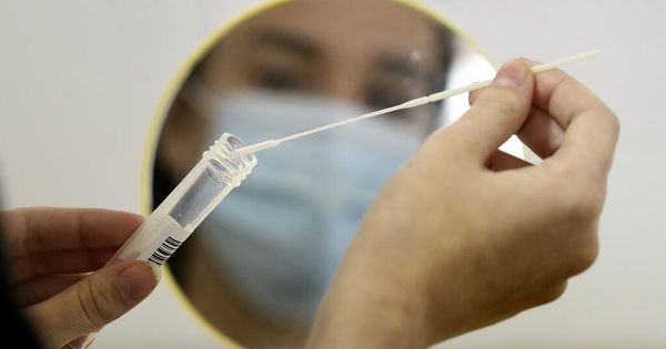 The Covid testing firm that sent negative results for PCRs that never happened