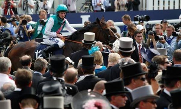 Derby's shortfalls reflect the sport's confused thinking
