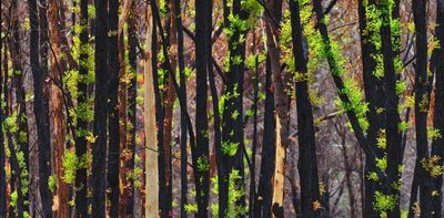 'Although we didn’t produce these problems, we suffer them': 3 ways you can help in NAIDOC's call to Heal Country