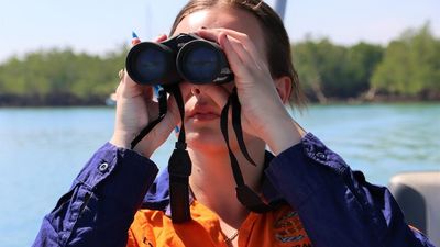 NAIDOC Week: Darwin's Aboriginal rangers are on a mission to protect the far eastern curlew
