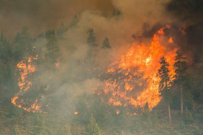 Much of the American West is on fire. Again