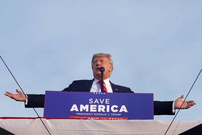 Guess how much Trump's companies made during his presidency!