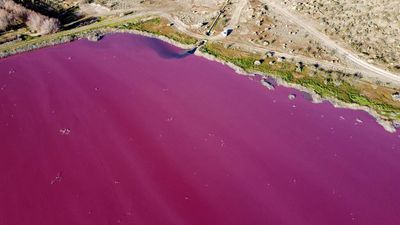 For the record, this lake in Patagonia is not supposed to be neon pink