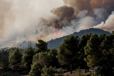 14,000 scientists warn of "untold suffering" if we fail to act on climate change