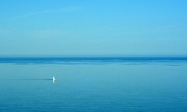 Country diary: a red-hot rhapsody in blue