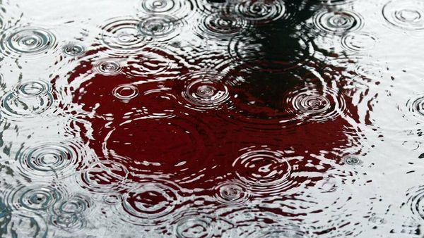 Weather forecast: MetService predicting spring rain and wind for most of New Zealand this week