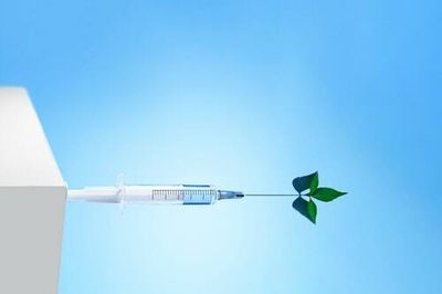 The plant-derived COVID vaccines of the future won't need refrigeration — and that's huge