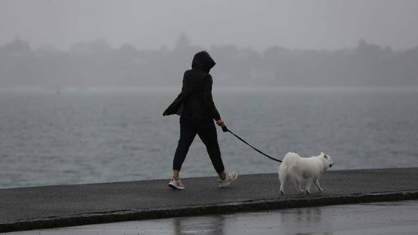 Weather: Wild Wednesday to bring rain, strong winds and snow to the country